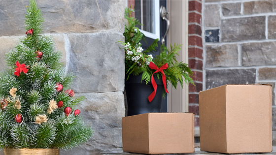 Stay Safe While Shopping Online This Holiday Season